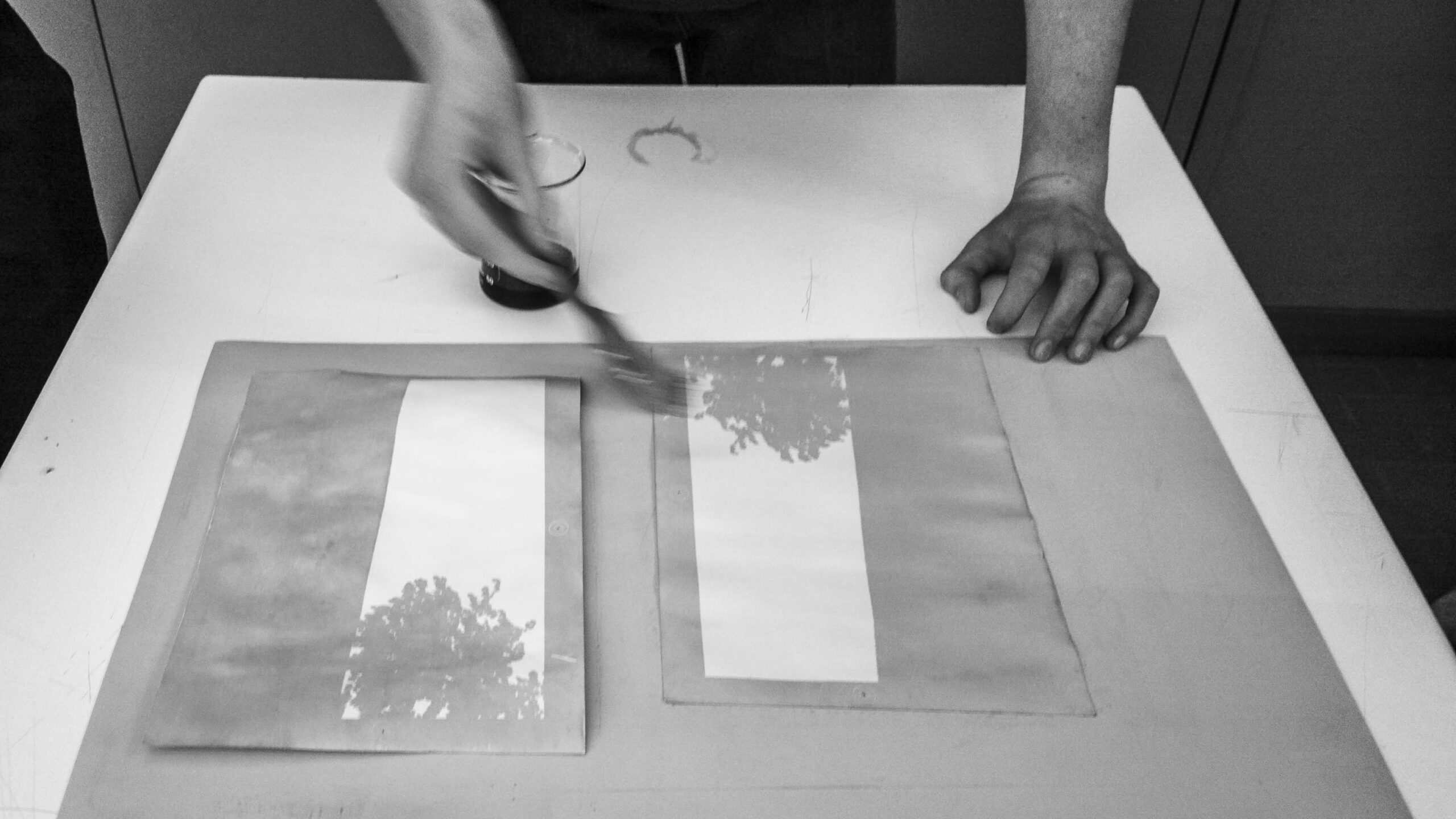 2025-02-28-6488_54357798445_o-scaled