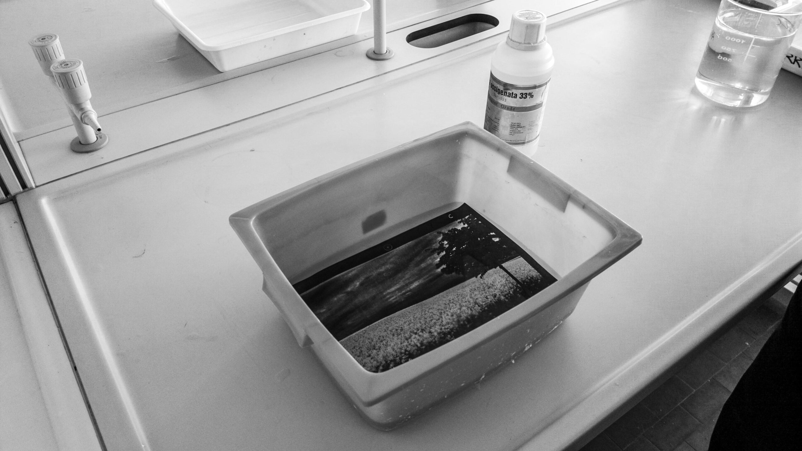 2025-02-28-6499_54357601904_o-scaled