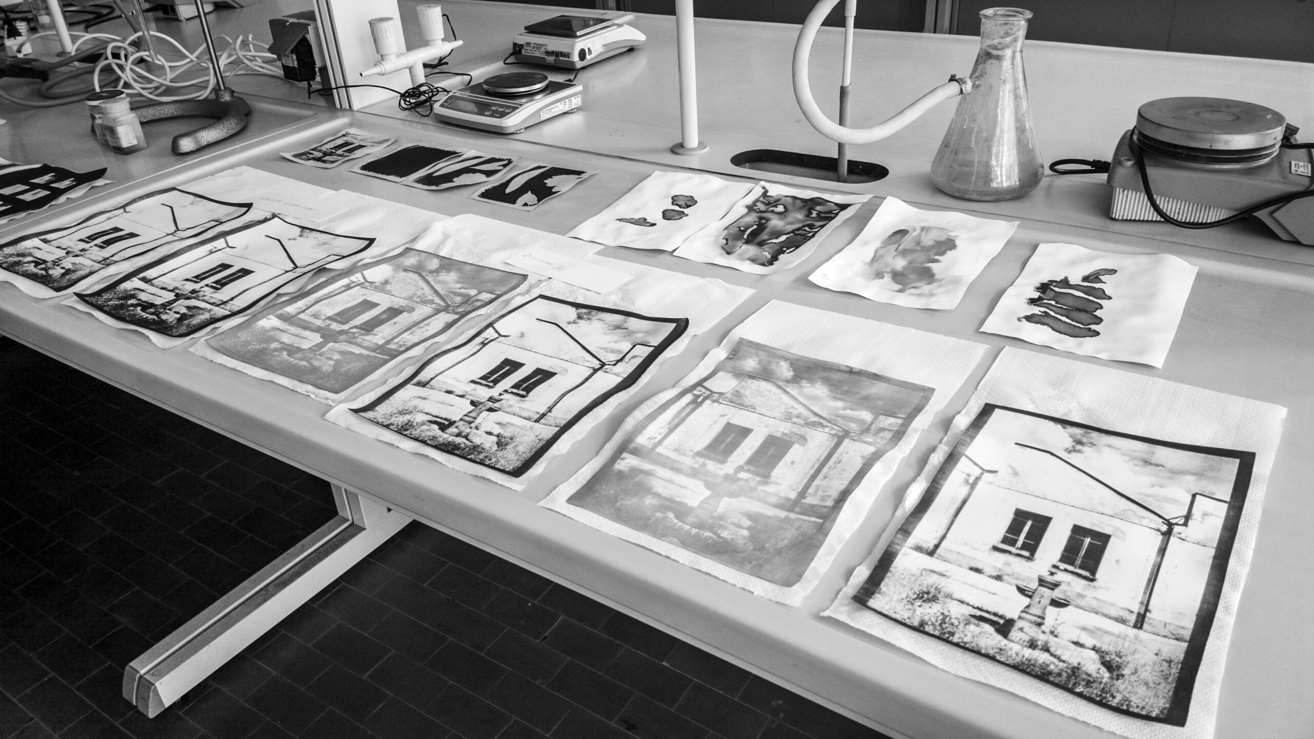 2025-02-28-6512_54357601819_o-scaled